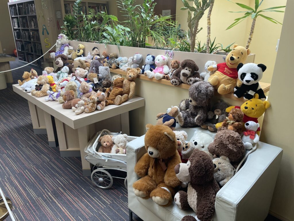 Brumm macikiállítás 2023 02 03 1