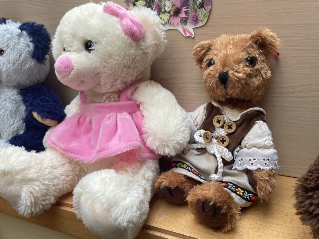 Brumm macikiállítás 2023 02 03 11