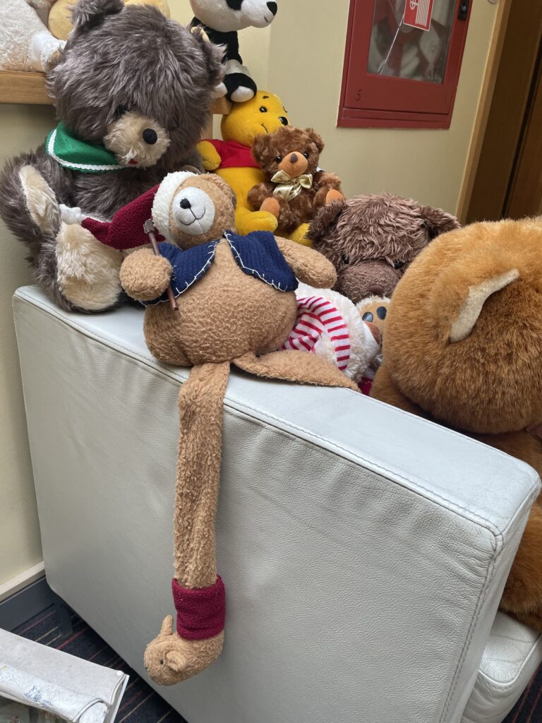 Brumm macikiállítás 2023 02 03 12