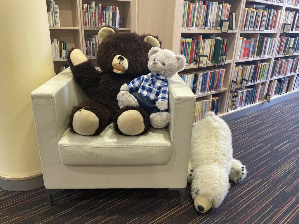 Brumm macikiállítás 2023 02 03 24