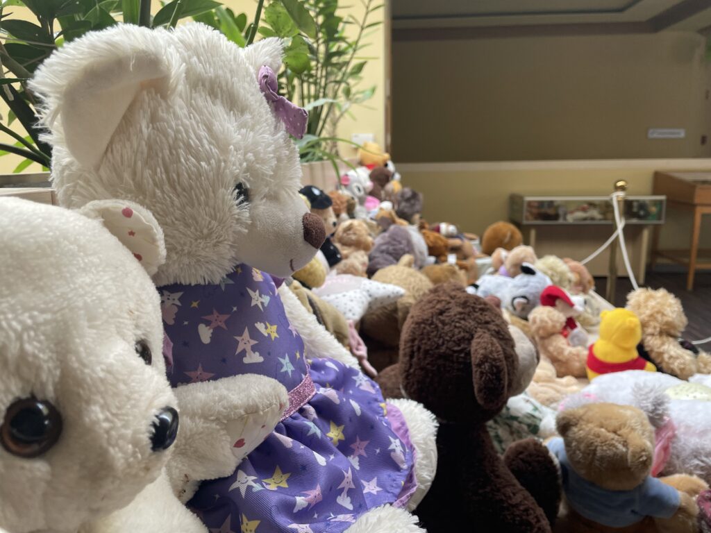 Brumm macikiállítás 2023 02 03 5