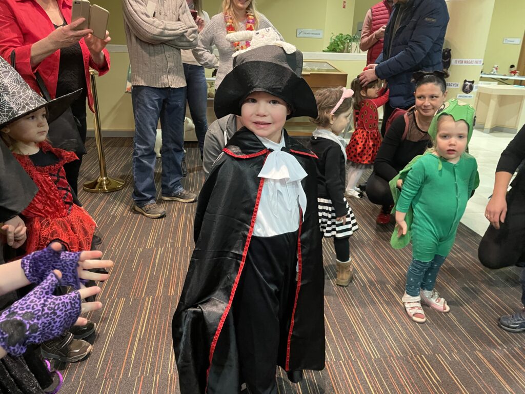 Farsangi bál 2024 02 03 46