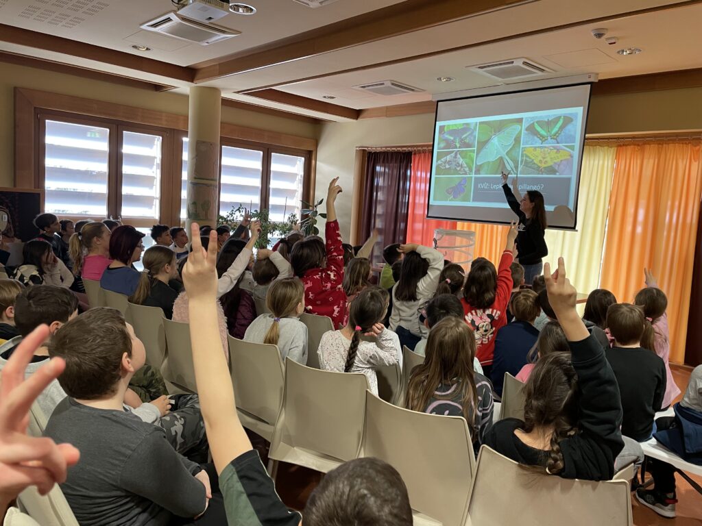 Lepkék szárnyán 2023 03 02 11