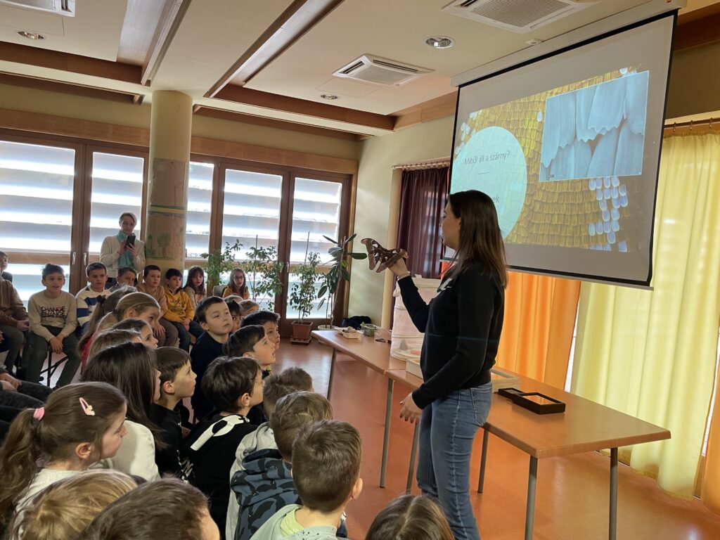 Lepkék szárnyán 2023 03 02 13