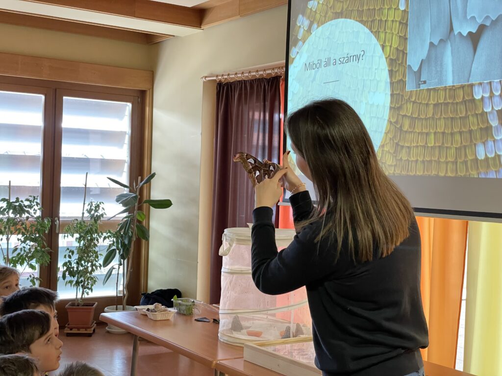 Lepkék szárnyán 2023 03 02 14