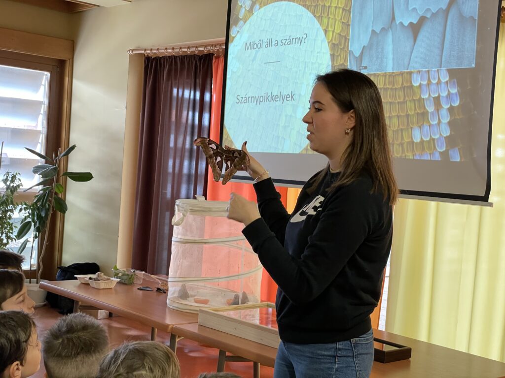 Lepkék szárnyán 2023 03 02 15