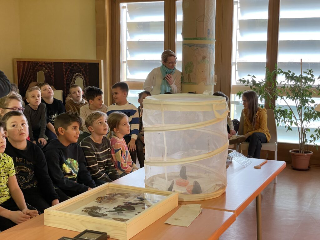 Lepkék szárnyán 2023 03 02 19