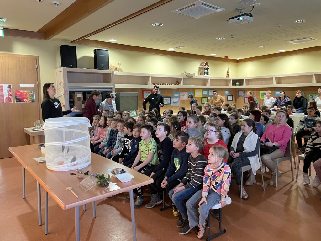 Lepkék szárnyán 2023 03 02 2