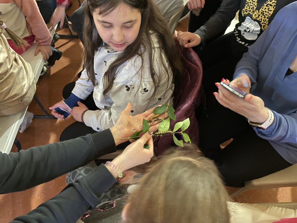 Lepkék szárnyán 2023 03 02 21