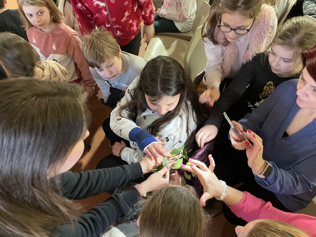 Lepkék szárnyán 2023 03 02 22