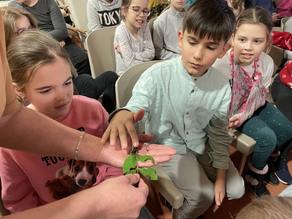 Lepkék szárnyán 2023 03 02 25