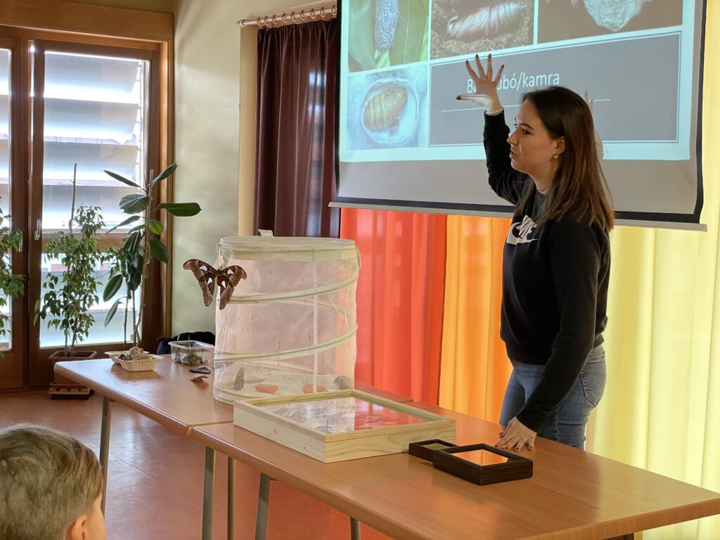 Lepkék szárnyán 2023 03 02 27