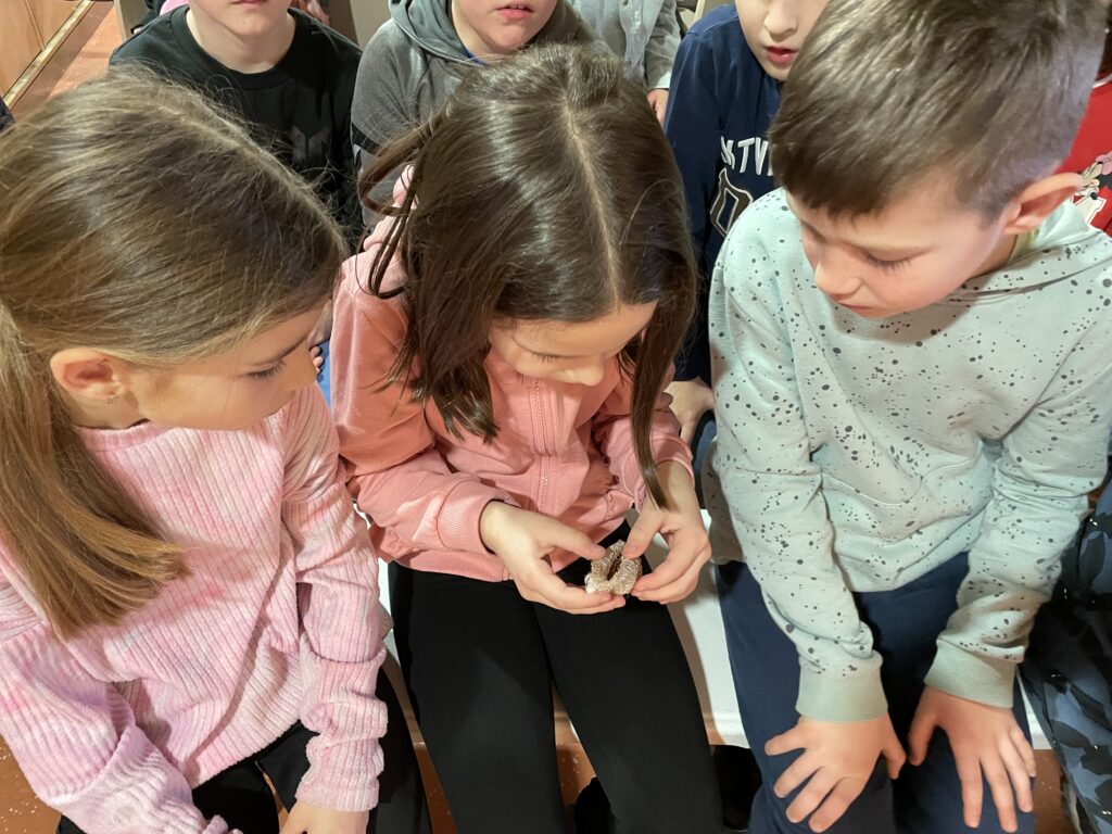 Lepkék szárnyán 2023 03 02 28