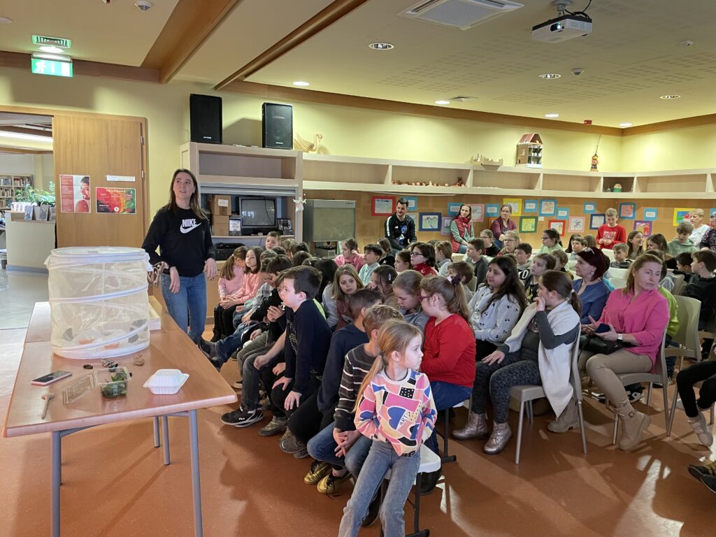 Lepkék szárnyán 2023 03 02 30