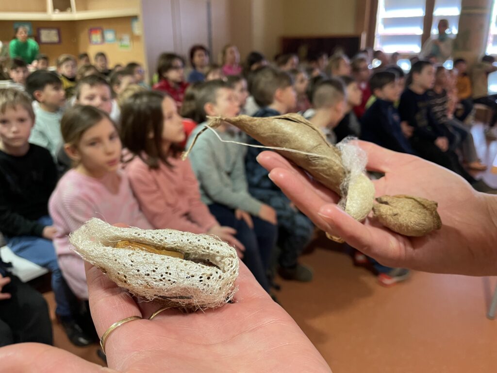 Lepkék szárnyán 2023 03 02 31