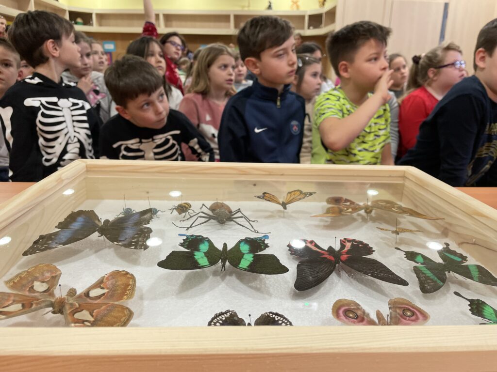 Lepkék szárnyán 2023 03 02 32