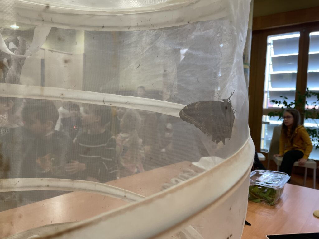 Lepkék szárnyán 2023 03 02 33