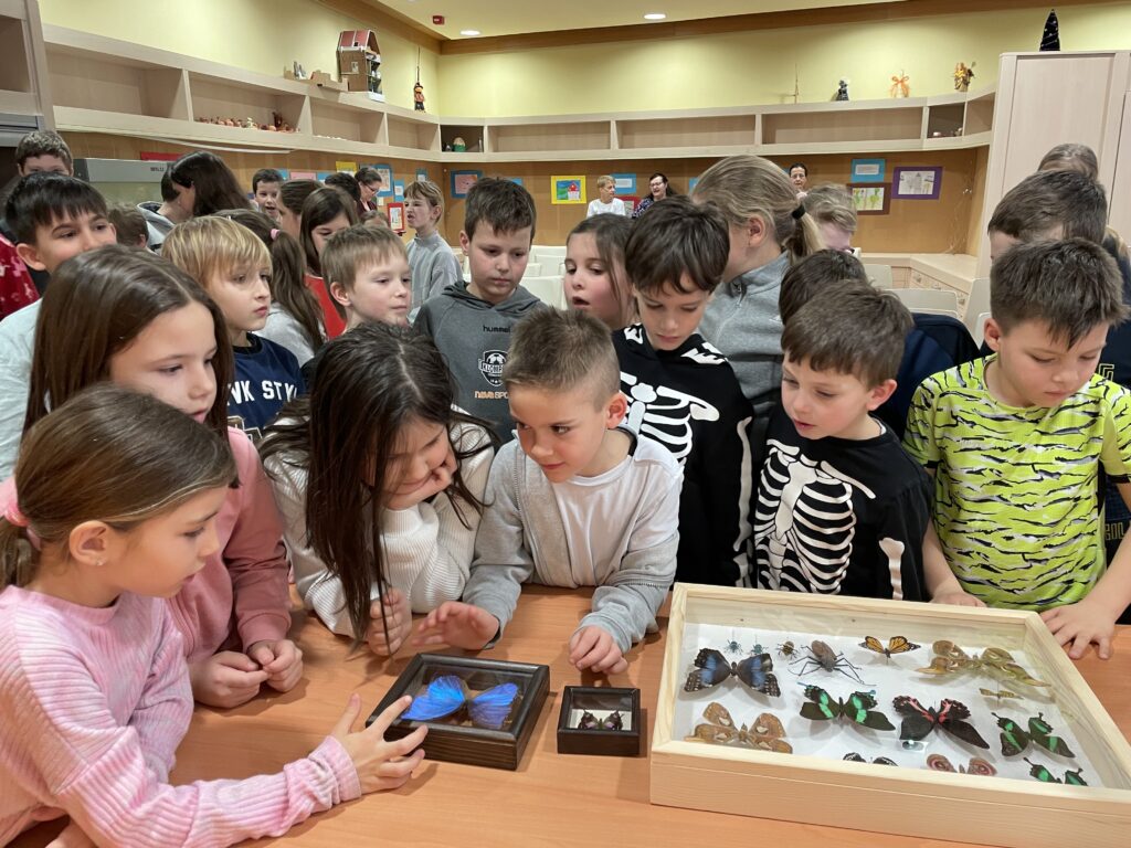 Lepkék szárnyán 2023 03 02 34