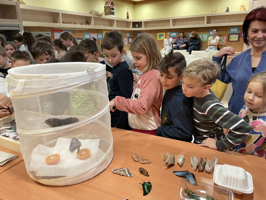 Lepkék szárnyán 2023 03 02 35