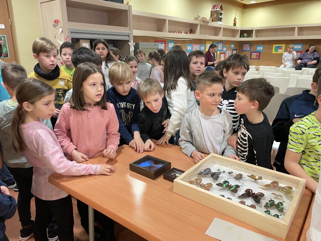 Lepkék szárnyán 2023 03 02 36