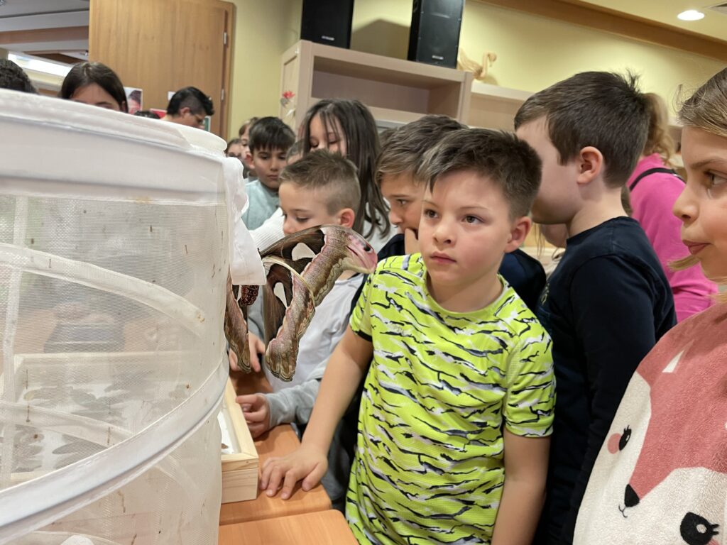 Lepkék szárnyán 2023 03 02 37