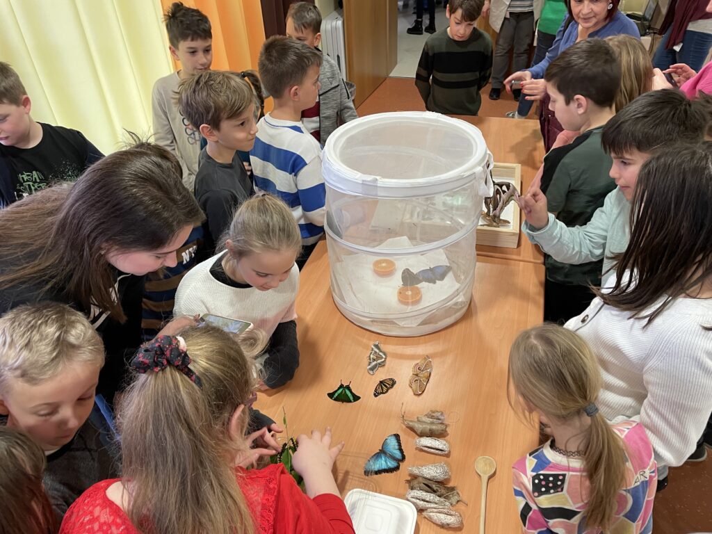 Lepkék szárnyán 2023 03 02 39