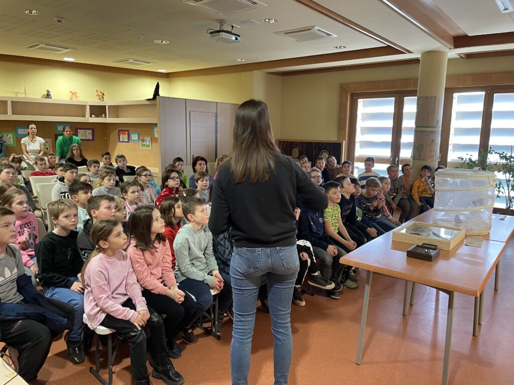 Lepkék szárnyán 2023 03 02 5