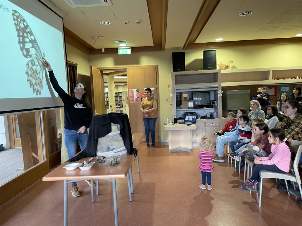 Lepkék szárnyán 2023 03 02 51