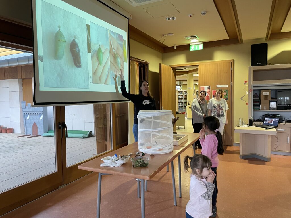 Lepkék szárnyán 2023 03 02 56