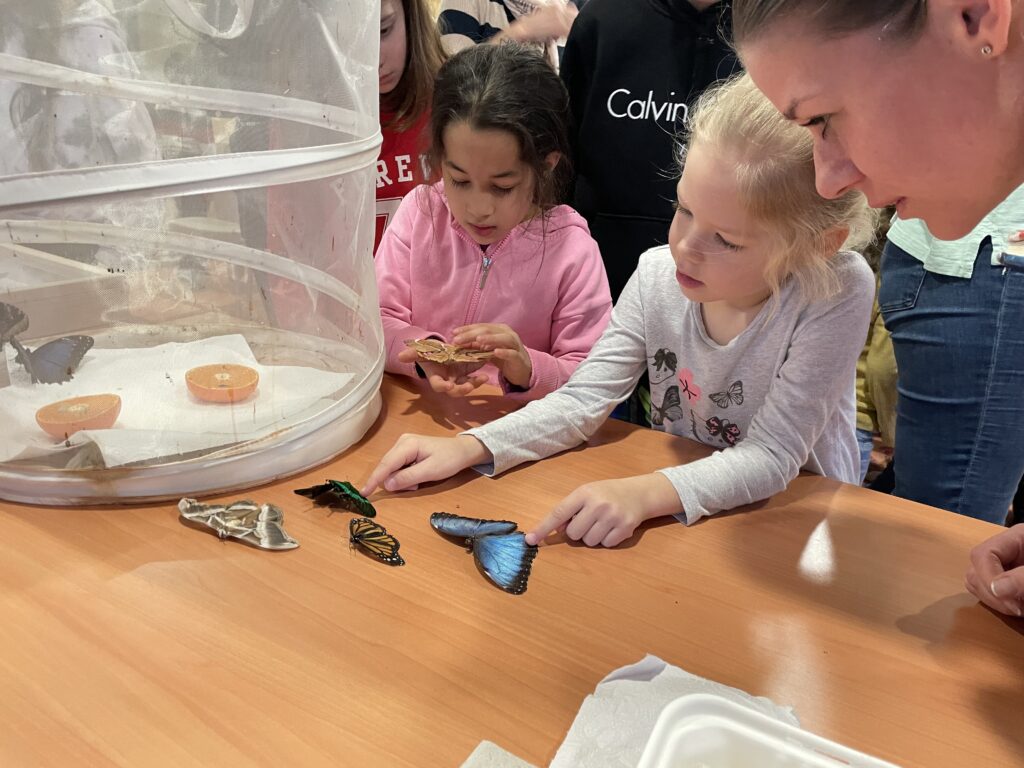 Lepkék szárnyán 2023 03 02 63