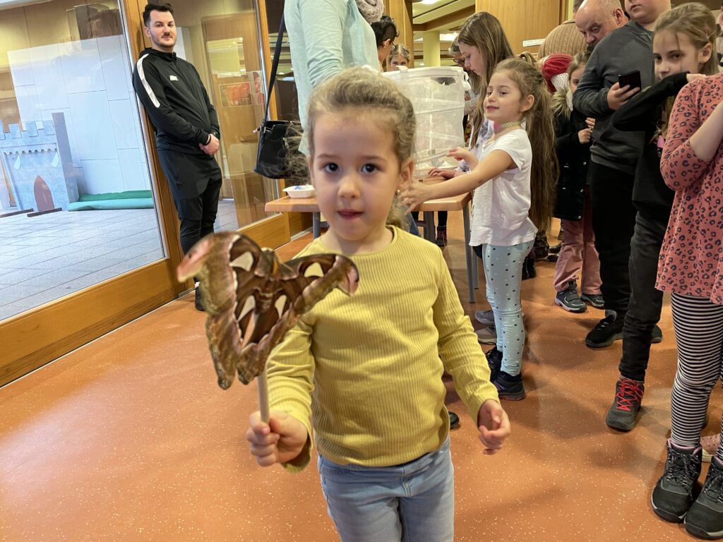 Lepkék szárnyán 2023 03 02 64