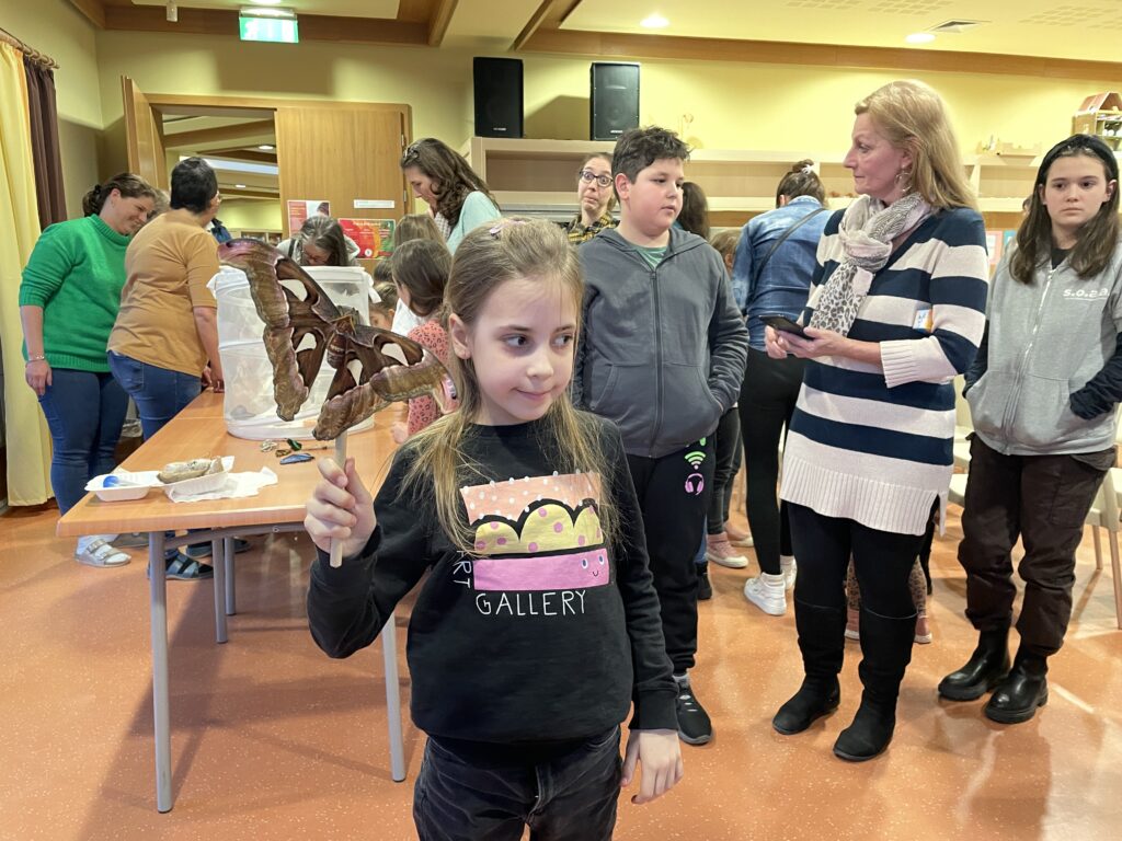 Lepkék szárnyán 2023 03 02 68