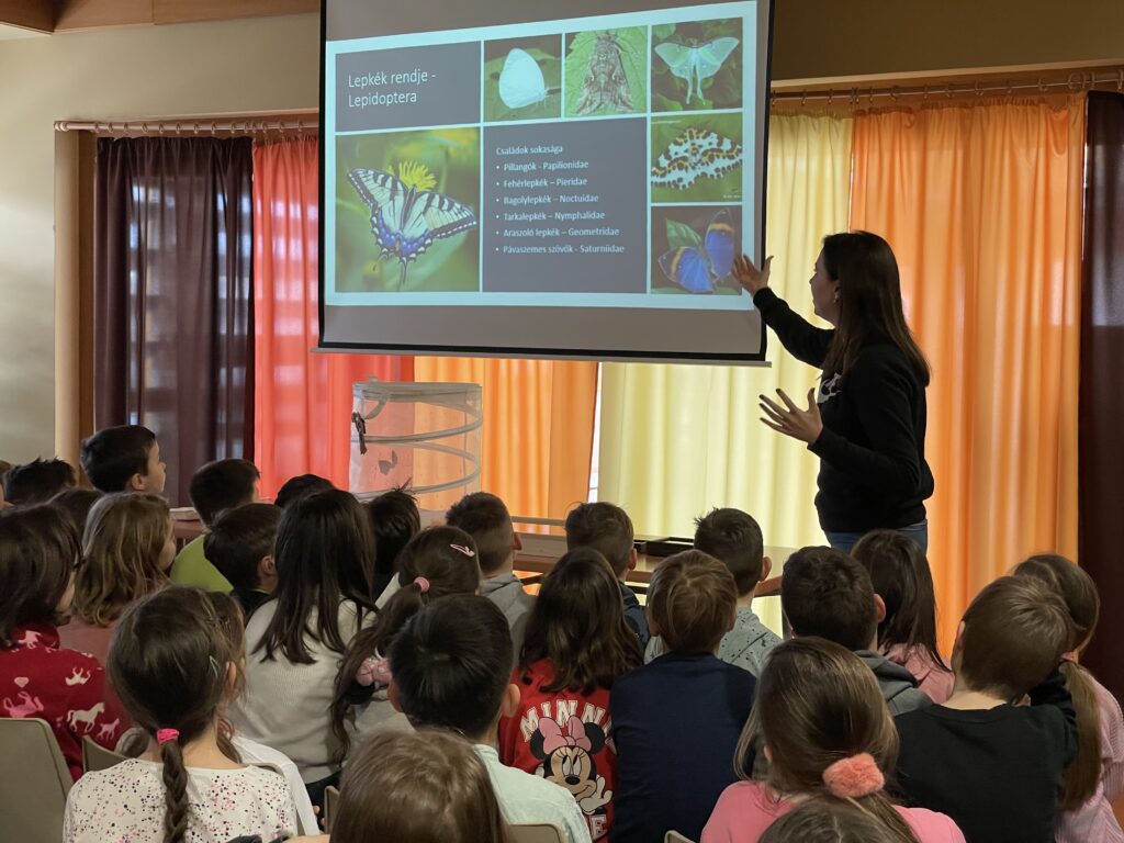 Lepkék szárnyán 2023 03 02 7