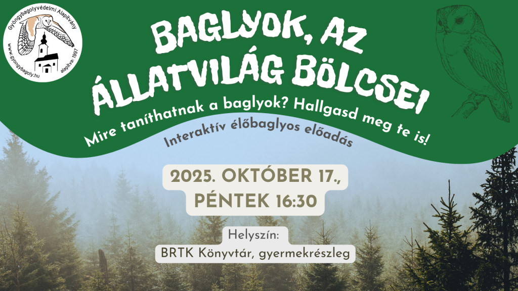 2025 – baglyos banner