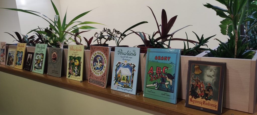 550508905 10228335369721983 7816783959714667034 n