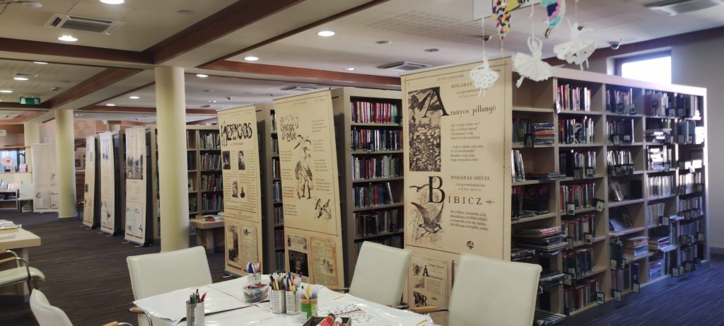 552845293 10228335365761884 2669981313437947403 n