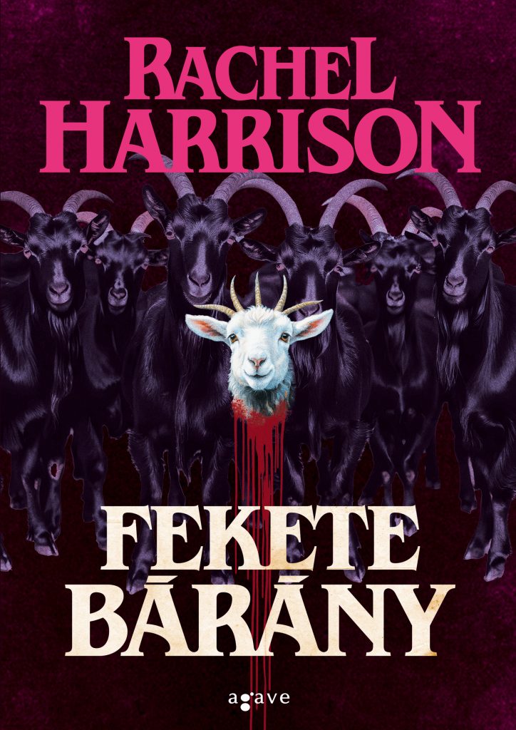 Fekete barany