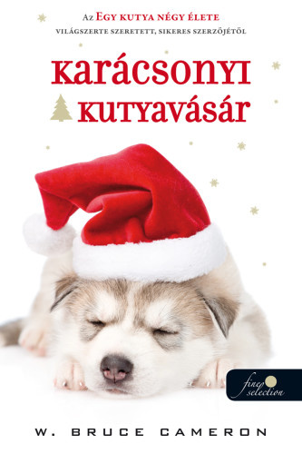 Karacsonyi kutyavasar