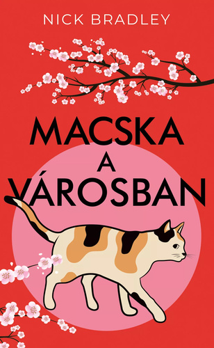 Macska a varosban