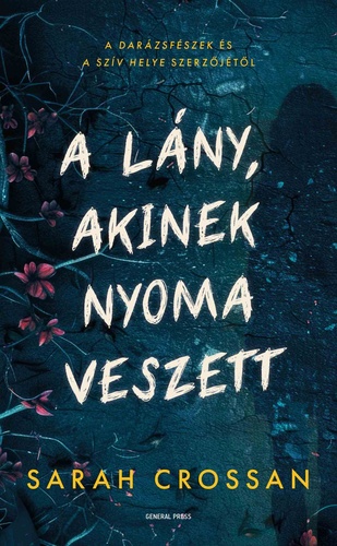 A lany akinek nyoma veszett