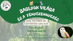 20261008 BAGLYOS banner