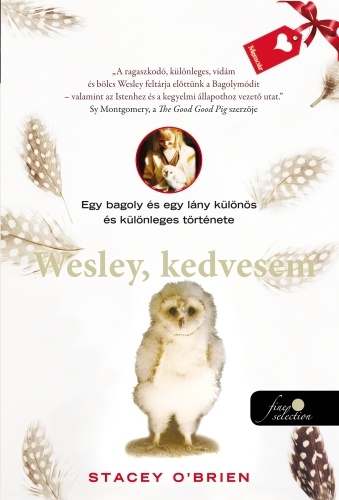 Wesley, kedvesem – Egy bagoly, egy lány és a szeretet különös története